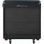 Ampeg PF210HE 450W Bass Cabinet Front View