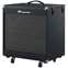 Ampeg PF210HE 450W Bass Cabinet Front View