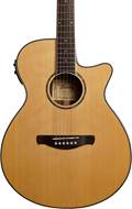 Ibanez AEG10NII-NT Natural (Ex-Demo) #160501092