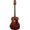 Ibanez PCBE12MH-OPN Acoustic Bass Open Pore Natural (Ex-Demo) #200353522 Front View