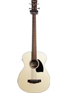 Ibanez PCBE12-OPN Acoustic Bass Open Pore Natural (Ex-Demo) #190902816