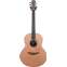 Lowden F25 IR/RC Indian Rosewood/Red Cedar #23923 Front View