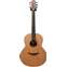Lowden F25 IR/RC Indian Rosewood/Red Cedar #24049 Front View