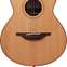 Lowden Wee Lowden WL25 East Indian Rosewood / Red Cedar  #24066 