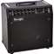 Mesa Boogie Mark Five:35 1x12 Combo  Front View