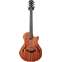Taylor T5z Classic Mahogany #1205260101 Front View
