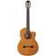 Cordoba C7-CE with Fishman Front View
