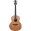 Lowden FM Sitka Spruce/Cocobolo with LR Baggs Anthem #20901 Front View