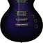 ESP LTD EC-256FM See-Thru Purple Sunburst (Ex-Demo) #RS19061277 