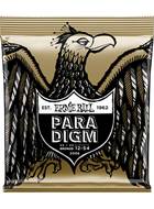 Ernie Ball P02086 Paradigm Acoustic 80/20 Bronze Medium Light 12-54