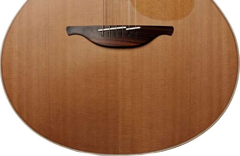 Lowden F35C Red Cedar/Tasmanian Blackwood #23937 Lowden F35C Red Cedar/Tasmanian Blackwood #23937