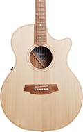 Cole Clark Angel 2 EC Bunya/Blackwood #20018366