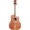 Cole Clark FL 2 Redwood Top, Australian Blackwood Back and Sides Cutaway  #200136222 Front View