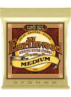 Ernie Ball 2002 Earthwood 80/20 Bronze Medium Guitar Strings