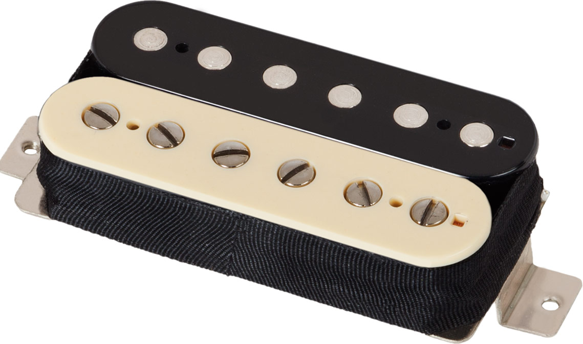 Schecter Pasadena Plus Bridge ZEBRA(TREM)