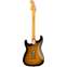 Fender Eric Johnson Thinline Strat 2 Tone Sunburst Back View