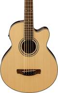 Ibanez AEB105E-NT Acoustic Bass