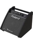 Roland PM-100 Drum Amp (Ex-Demo) #A5J6726