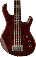 PRS SE Kingfisher Tortoise Shell
