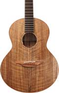 Lowden S-35W w/LR Baggs Anthem & Robson Tuners #23675