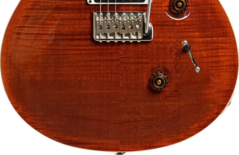 PRS Custom 24 Tortoiseshell Pattern Thin #250835 PRS Custom 24 Tortoiseshell Pattern Thin #250835