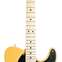Fender Player Tele Butterscotch Blonde MN  (Ex-Demo) #MX19170578 