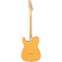 Fender Player Telecaster Butterscotch Blonde Maple Fingerboard Back View