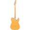 Fender Player Telecaster Butterscotch Blonde Maple Fingerboard Left Handed Back View