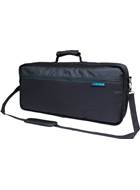 BOSS CB-GT100 Carry Bag For GT100