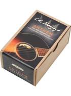 Lowden LR Baggs Anthem SS (Modded For Lowden 'A' Brace)