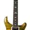 PRS Wood Library Limited Edition DGT Model Flame Maple 10  #18254502 