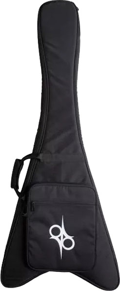 solar gig bag