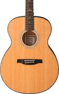 PRS SE T55E Tonare Abaco Green