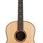 Taylor Builder's Edition Grand Pacific 717 #1104629057 