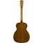 Fender CT-60S Classic Design Travel Natural WN Back View