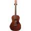 Fender PM-2 Parlour All Mahogany OV Front View