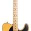 Fender American Ultra Telecaster Butterscotch Blonde Maple Fingerboard (Ex-Demo) #US19069579 