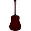 Fender FA-115 Dreadnought Pack WN Back View