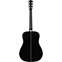 Fender Limited Edition Paramount PM-1E Black Back View