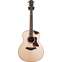 Taylor Builder's Edition 816ce Grand Symphony #1202060116 Front View