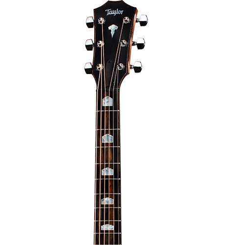 Taylor 818e Grand Orchestra Taylor 818e Grand Orchestra