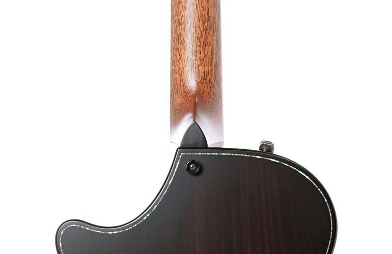 Taylor Builder's Edition 912ce Grand Concert Taylor Builder's Edition 912ce Grand Concert