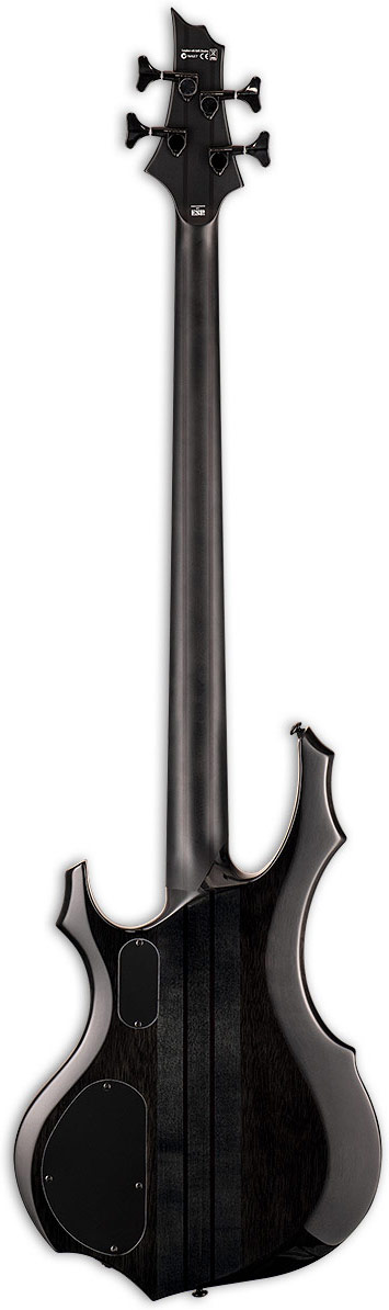 ESP LTD F-1004 See Thru Black