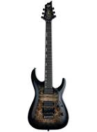 ESP LTD H-1001 FR Black Natural Burst