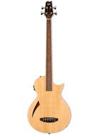 ESP LTD TL-4 Natural
