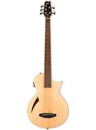 ESP LTD TL-5 Natural