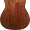 Taylor Grand Pacific Walnut Limited 