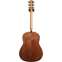 Taylor Grand Pacific Walnut Limited Back View