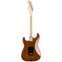 Fender Limited Edition American Performer Strat Walnut MN Back View