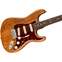 Fender Limited Edition American Professional Strat Natural Rosewood Neck Front View